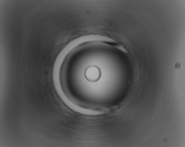 X0000094900720200712131430