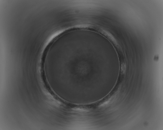 X0000094900724200712131430