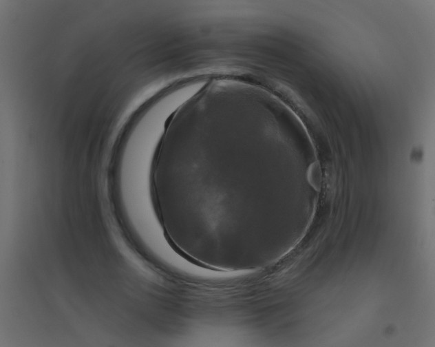 X0000094900726200712131430
