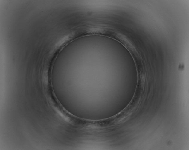 X0000094900729200712131430