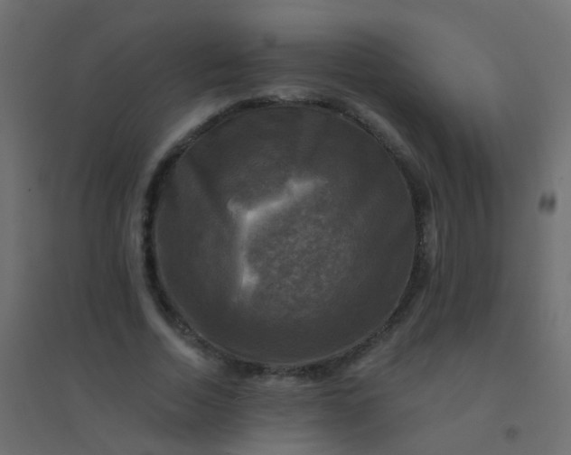 X0000094900730200712131430