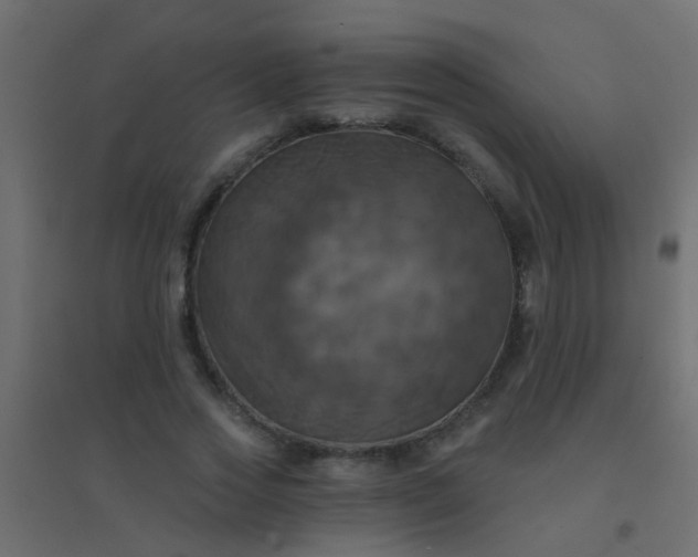 X0000094900733200712131430