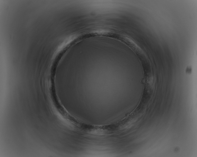 X0000094900734200712131430