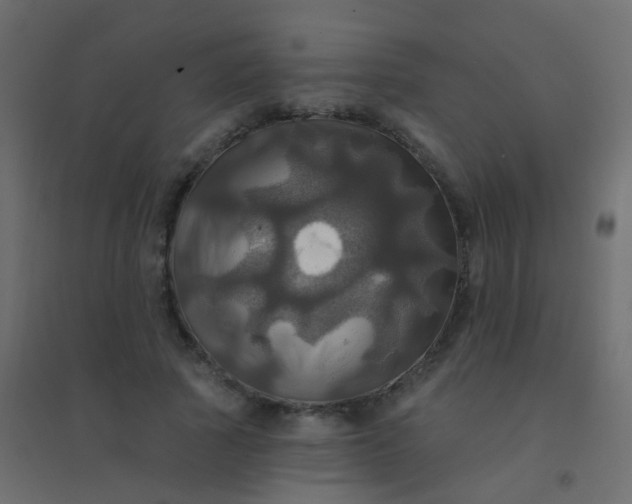 X0000094900737200712131430