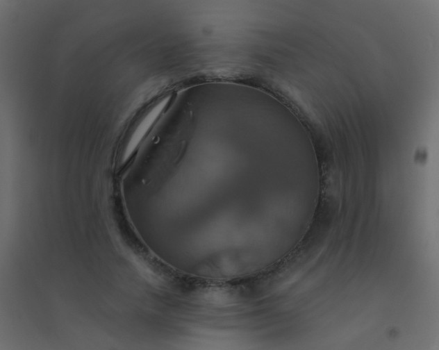 X0000094900738200712131430