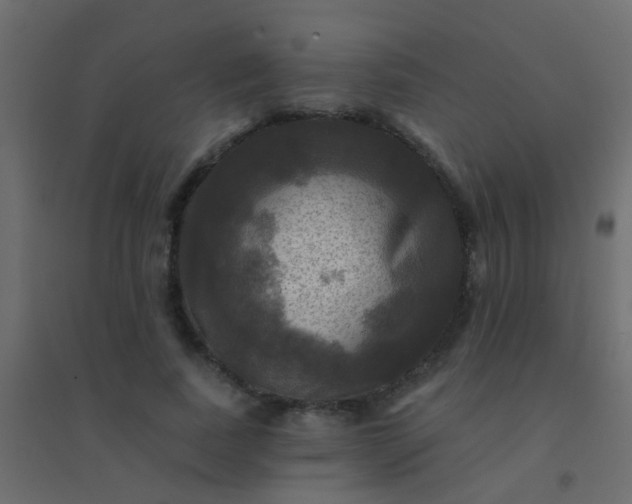X0000094900739200712131430