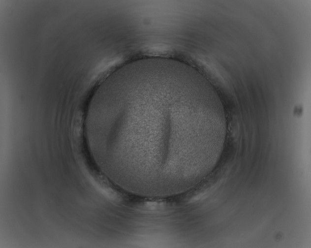 X0000094900744200712131430