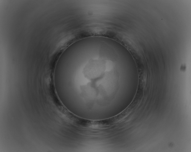 X0000094900746200712131430