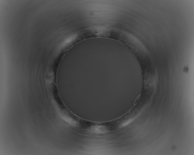 X0000094900748200712131430
