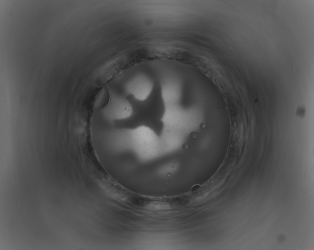 X0000094900749200712131430