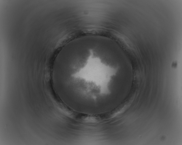 X0000094900751200712131430