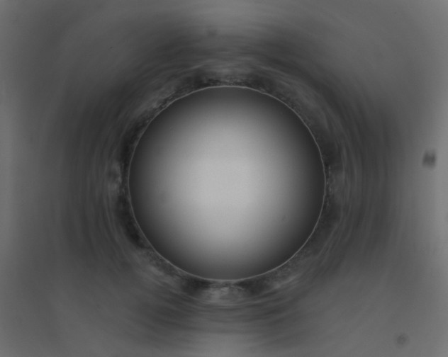 X0000094900752200712131430