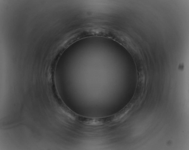 X0000094900754200712131430