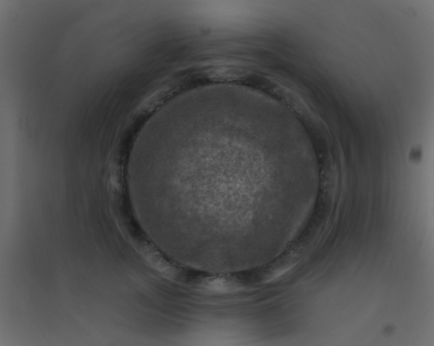 X0000094900755200712131430