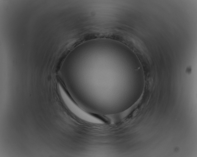 X0000094900756200712131430