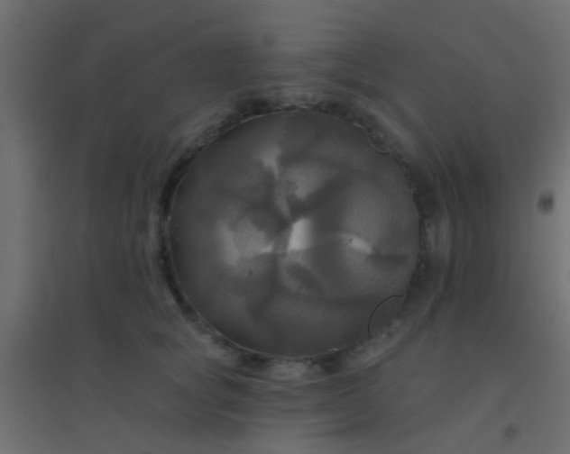 X0000094900757200712131430