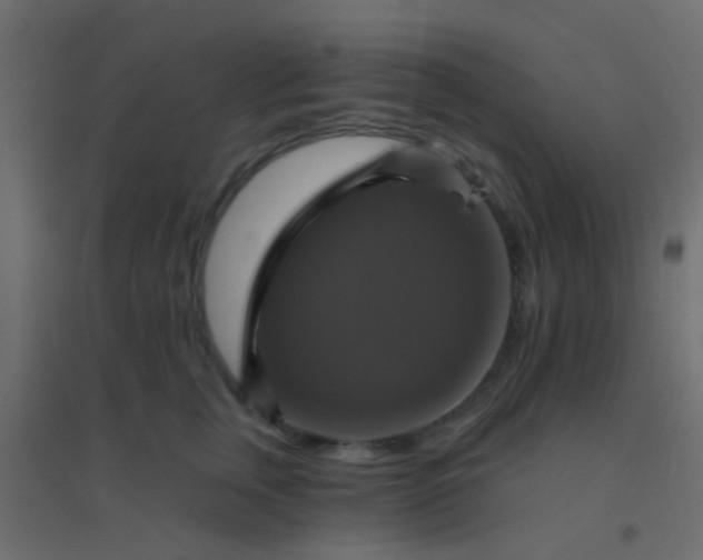 X0000094900759200712131430