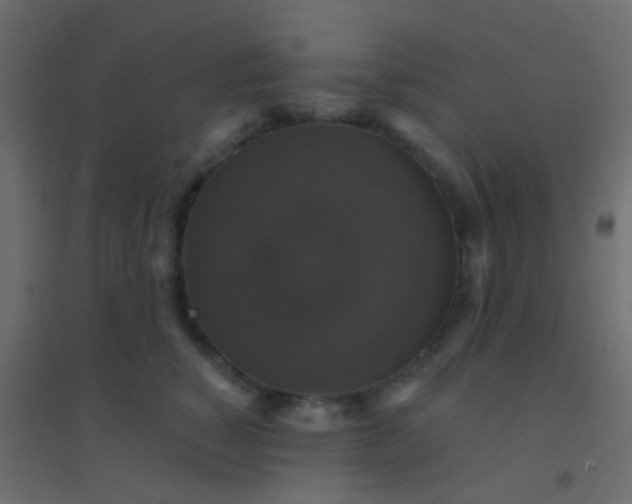 X0000094900760200712131430