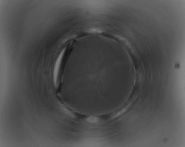 X0000094900762200712131430