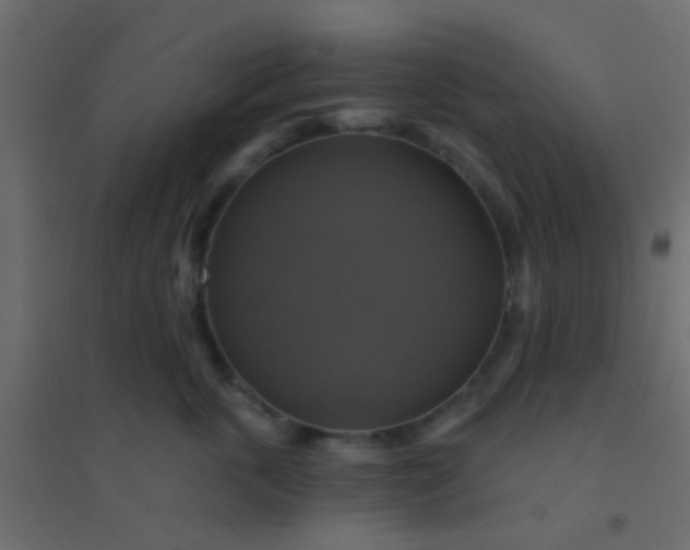 X0000094900763200712131430