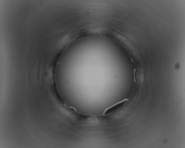 X0000094900764200712131430