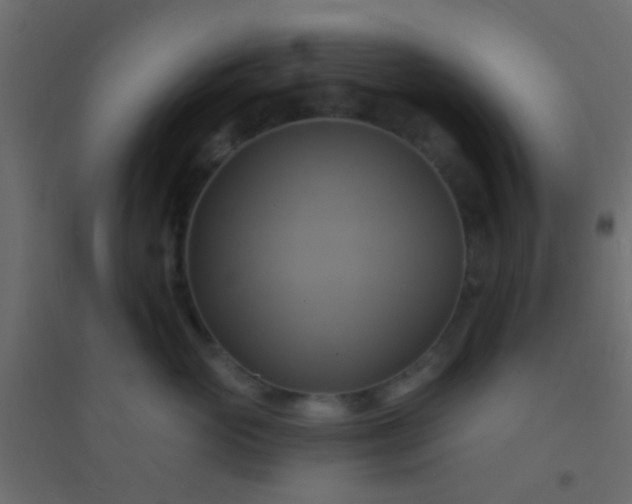X0000094900765200712131430