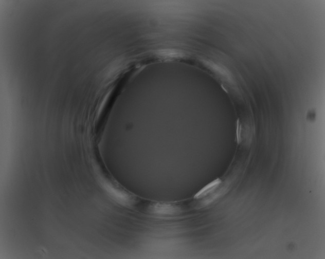 X0000094900766200712131430