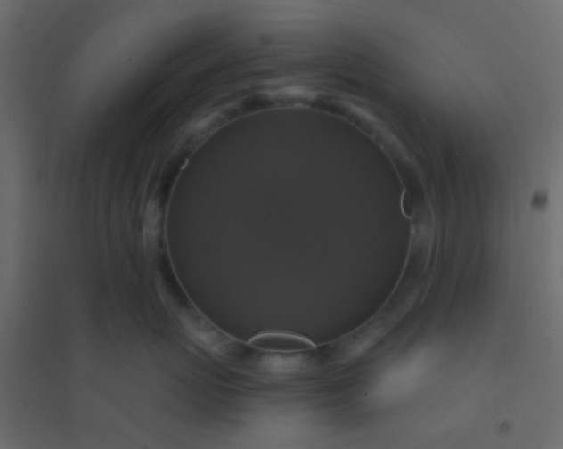 X0000094900767200712131430