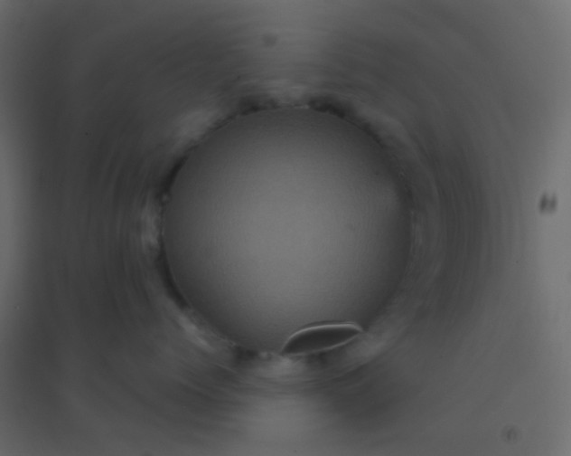 X0000094900768200712131430