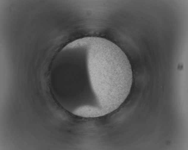 X0000094900769200712131430