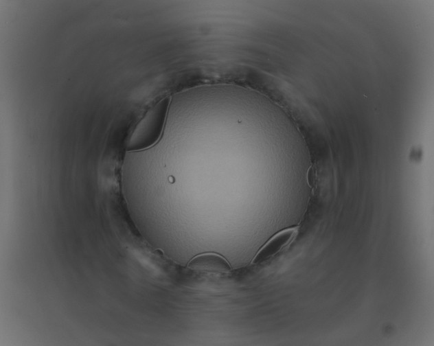X0000094900770200712131430
