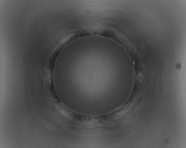 X0000094900772200712131429
