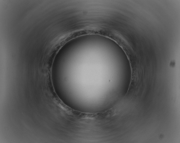 X0000094900773200712131429