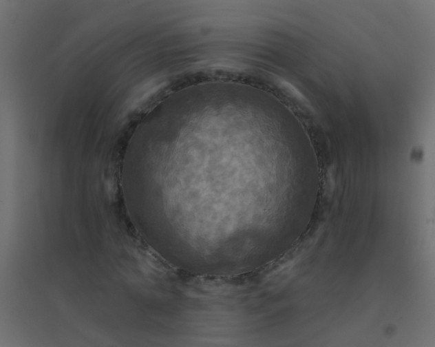 X0000094900774200712131429