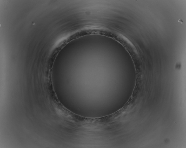 X0000094900775200712131429