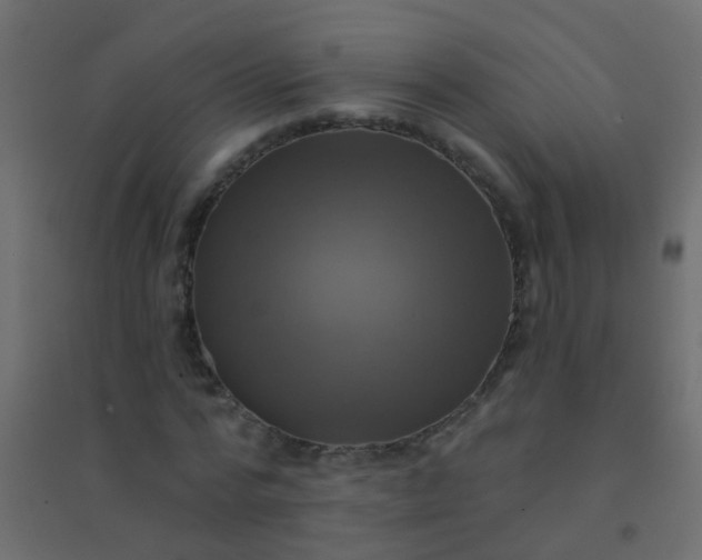 X0000094900776200712131429