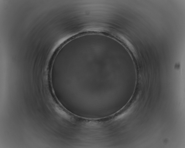 X0000094900779200712131429