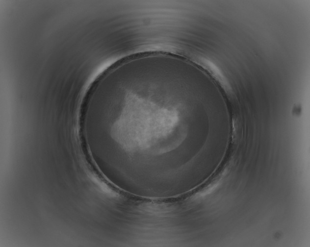 X0000094900780200712131429