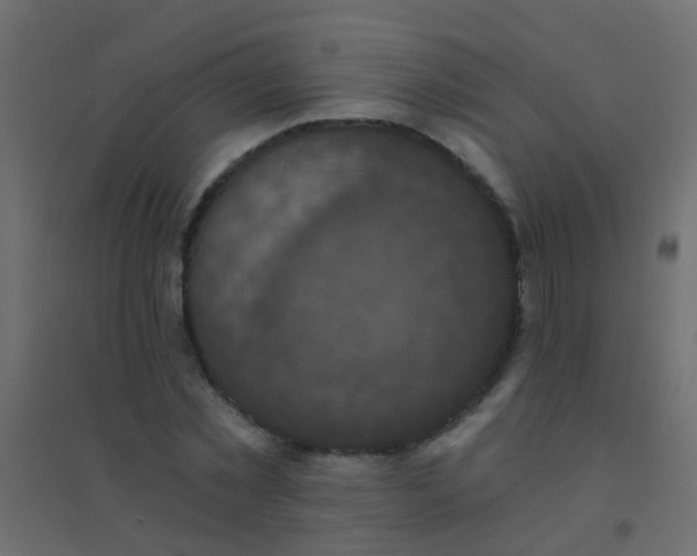 X0000094900781200712131429