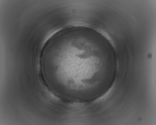 X0000094900782200712131429
