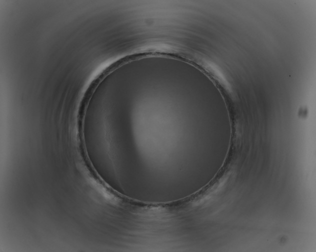 X0000094900784200712131429