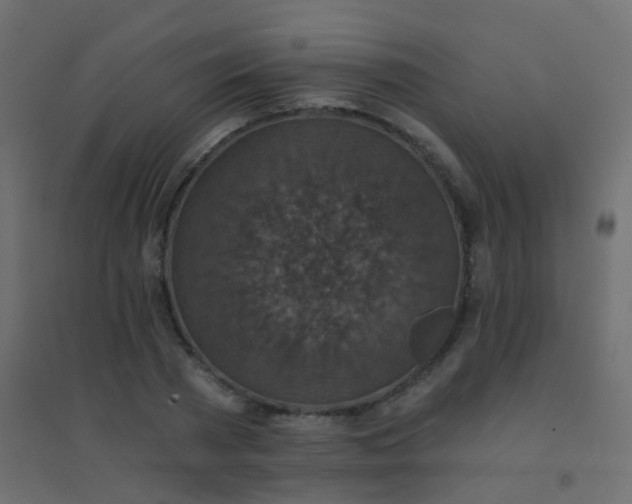 X0000094900785200712131429
