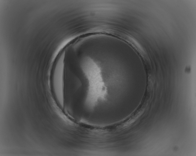 X0000094900788200712131429