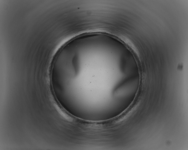 X0000094900789200712131429