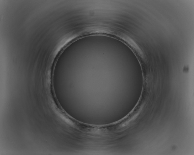 X0000094900790200712131429