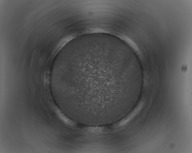 X0000094900793200712131429
