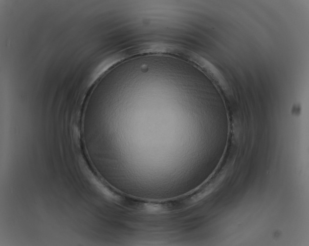 X0000094900794200712131429