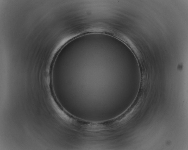 X0000094900795200712131429