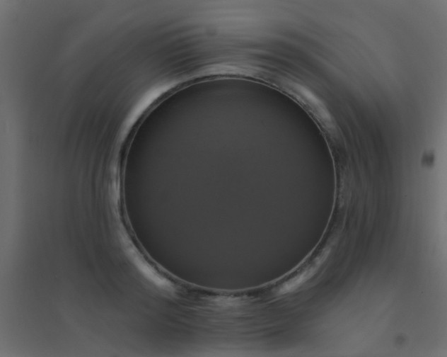 X0000094900796200712131429