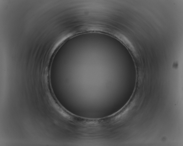 X0000094900798200712131429